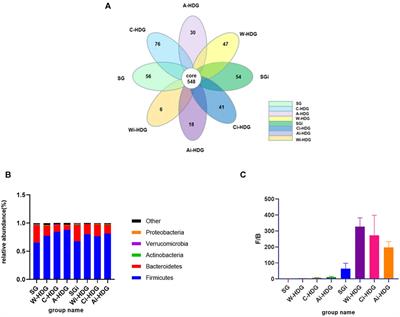 Effects of Irbesartan and Amlodipine Besylate Tablets on the Intestinal Microflora of Rats With Hypertensive Renal Damage